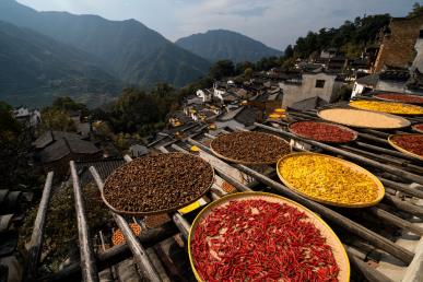 【國風(fēng)畫卷】<廬山、鄱陽湖石鐘山、景德鎮(zhèn)、婺源篁嶺、三清山、夜游望仙谷6日游>