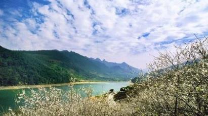 景點：流溪河森林公園花海圖1
